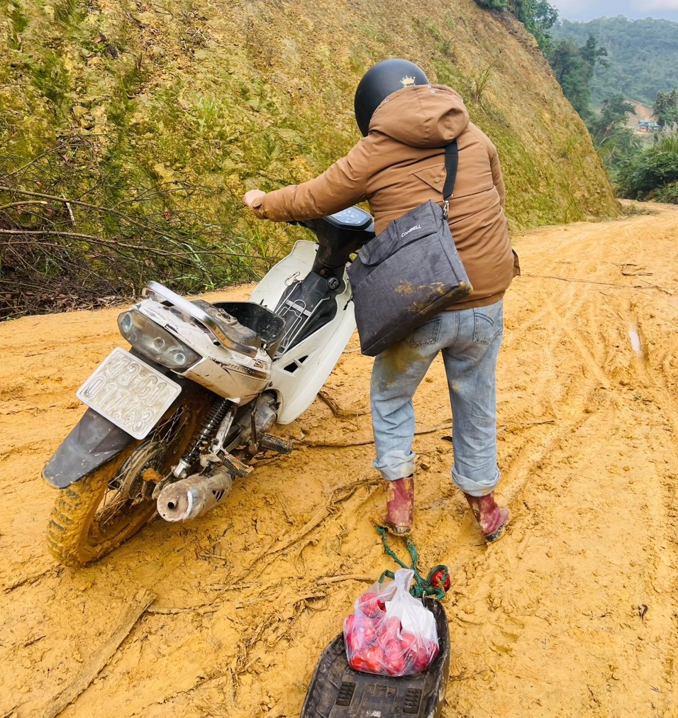 Hoàn tất kết luận điều tra vụ án người mẫu Ngọc Trinh gây rối trật tự công cộng - Ảnh 2.