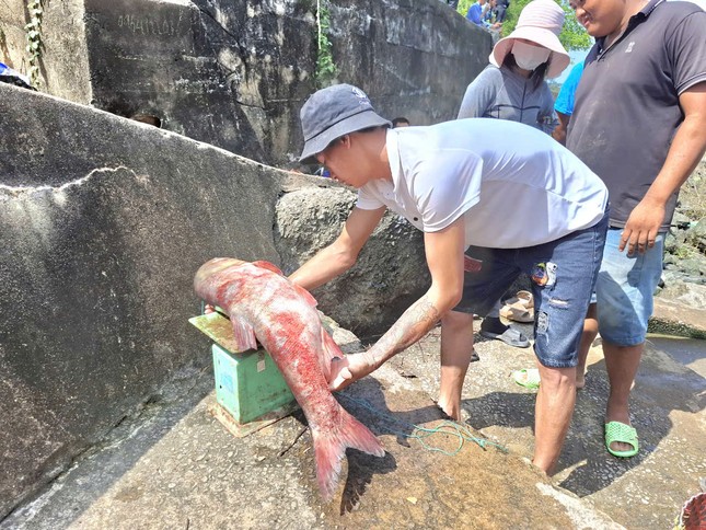 Người dân ùa xuống đập tràn nhà máy thủy điện Trị An săn 'lộc trời' - Ảnh 5.