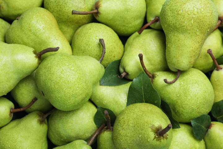 pears-9be62bfe42d14047a59efc9f7cde6023-11291174-1729220335723-1729220335813714537715.jpg