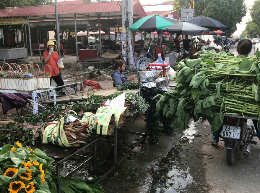 Làng hoa Mê Linh 