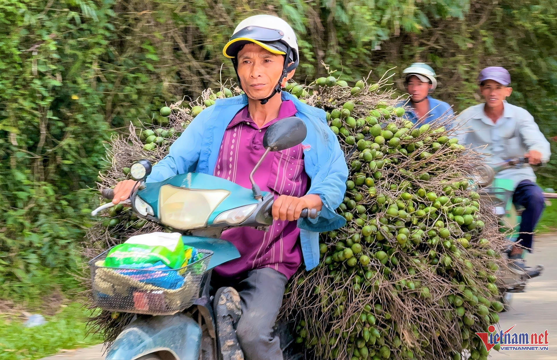 Giá cau vọt lên đỉnh rồi lao dốc: ‘Công thức’ lặp nhiều lần, nông dân 'hay quên' - Ảnh 1.