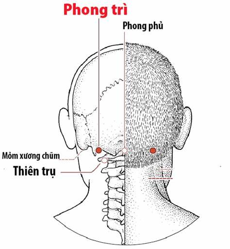 oip-2-17294306152601076319316-1729498859140-1729498859271996701469.jpg