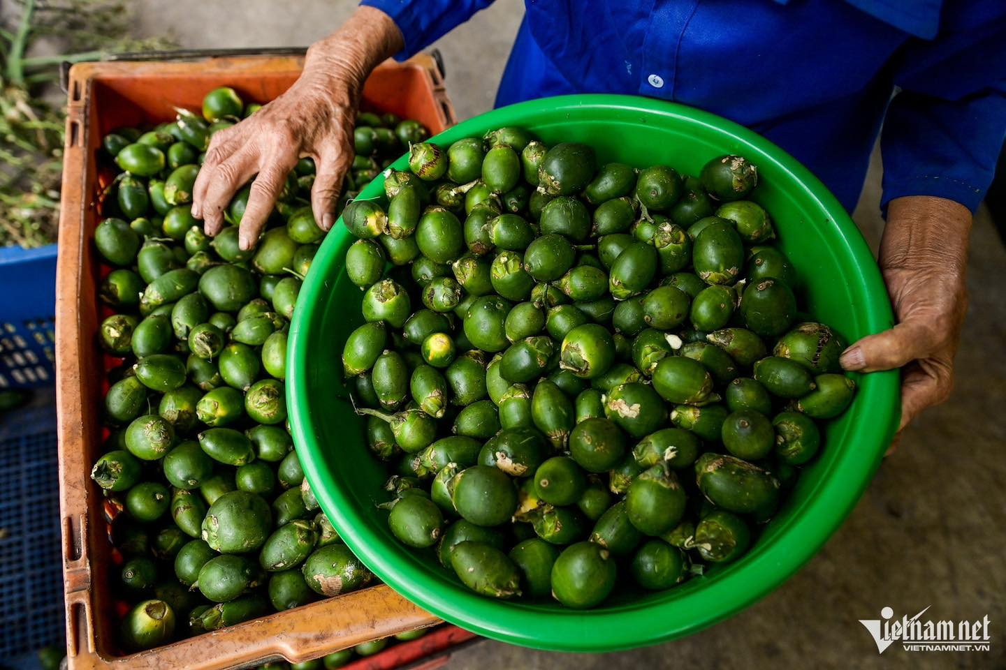 Trung Quốc mua cau giá rẻ làm kẹo, đưa ngược sang chợ Việt bán 3,3 triệu/kg - Ảnh 1.