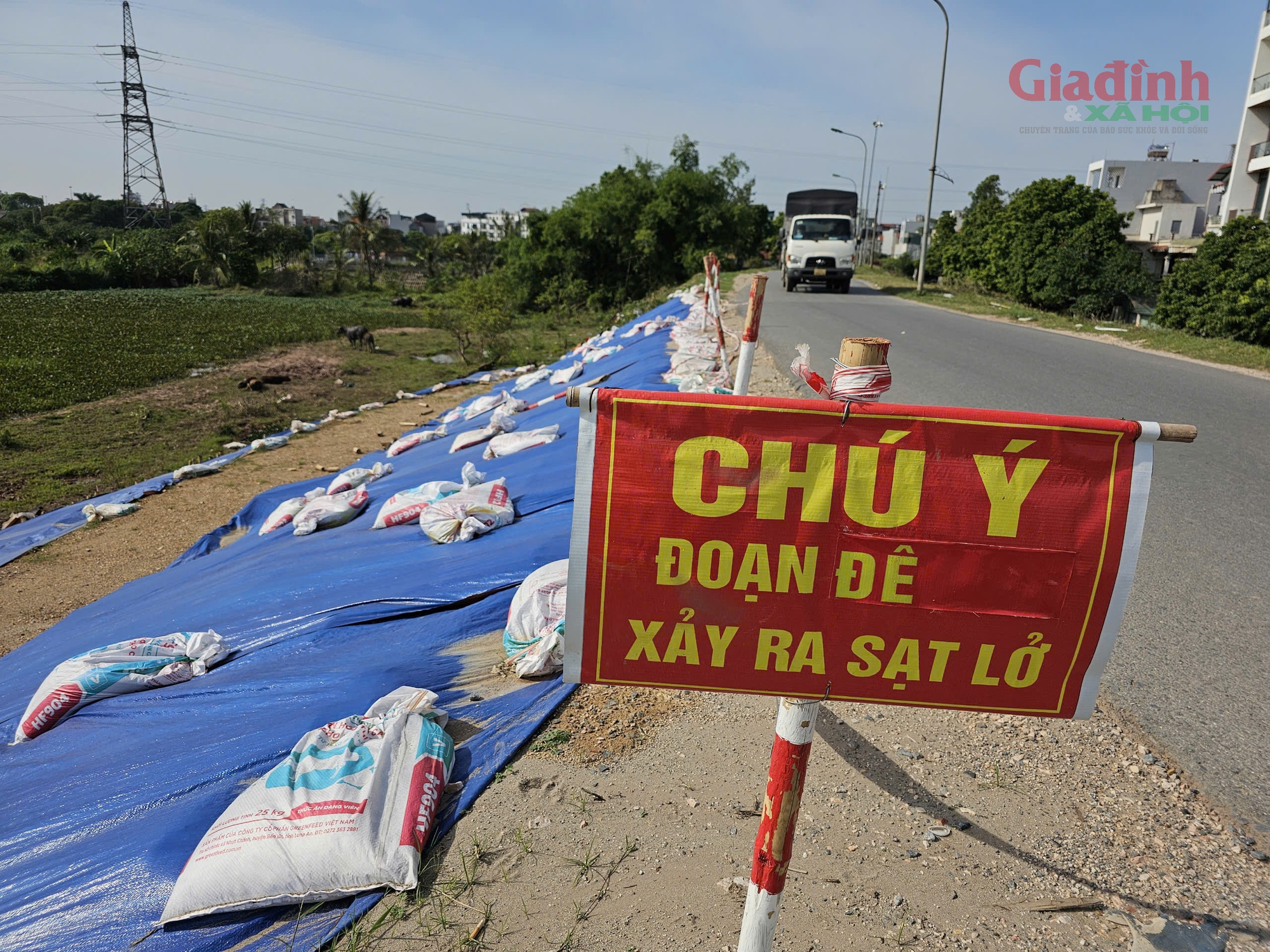 Đê Yên Nghĩa xuất hiện 3 điểm sụt lún, Hà Nội tạm thời cấm các phương tiện di chuyển - Ảnh 4.