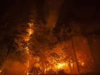 california-wildfires-73811-1880x1254-68538347146061802124016-80325389839702618113721-1730003135100-17300031351841226215917.jpg