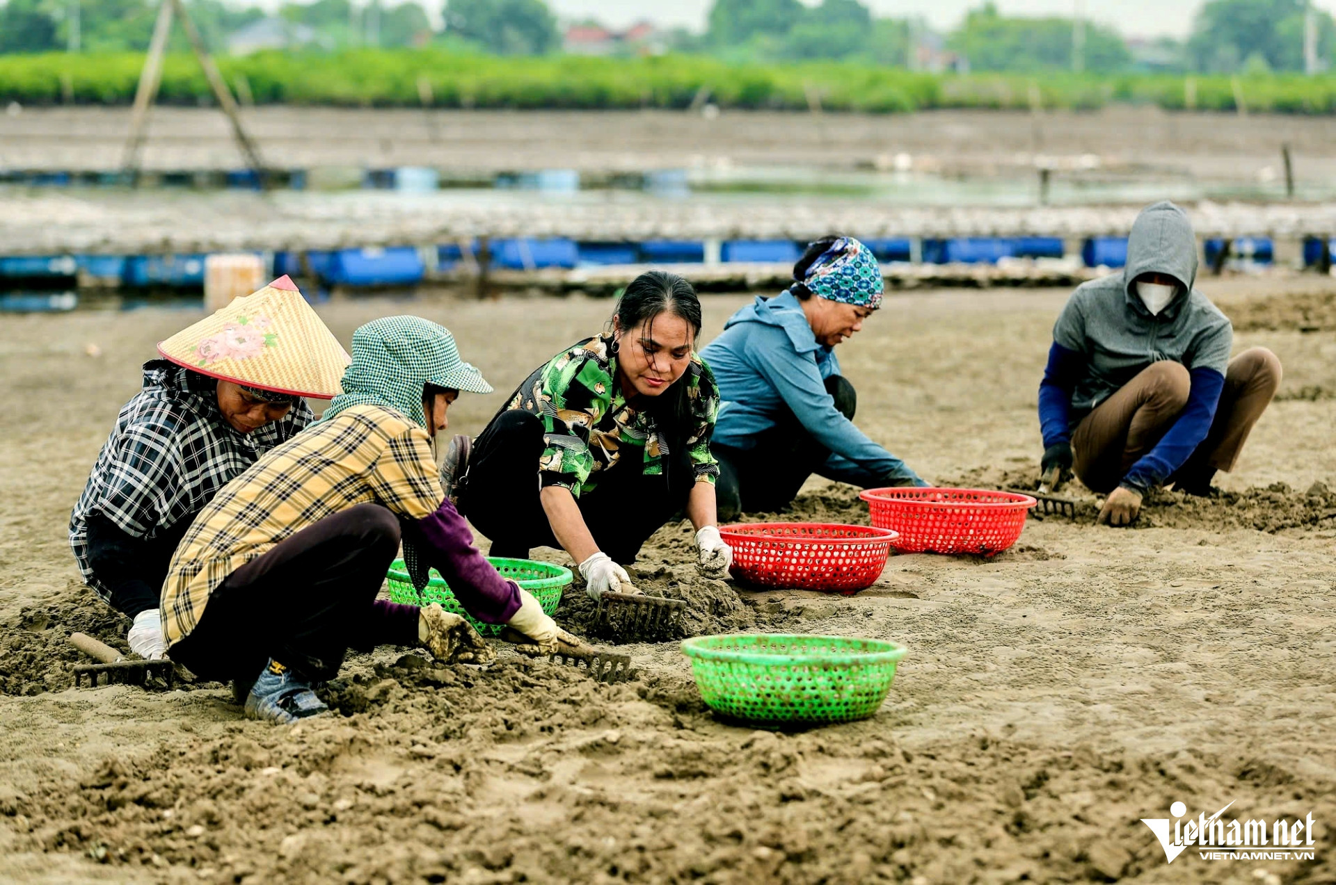 Từ nghề cào ngao, người phụ nữ Thanh Hóa thu trăm tỷ mỗi năm - Ảnh 2.