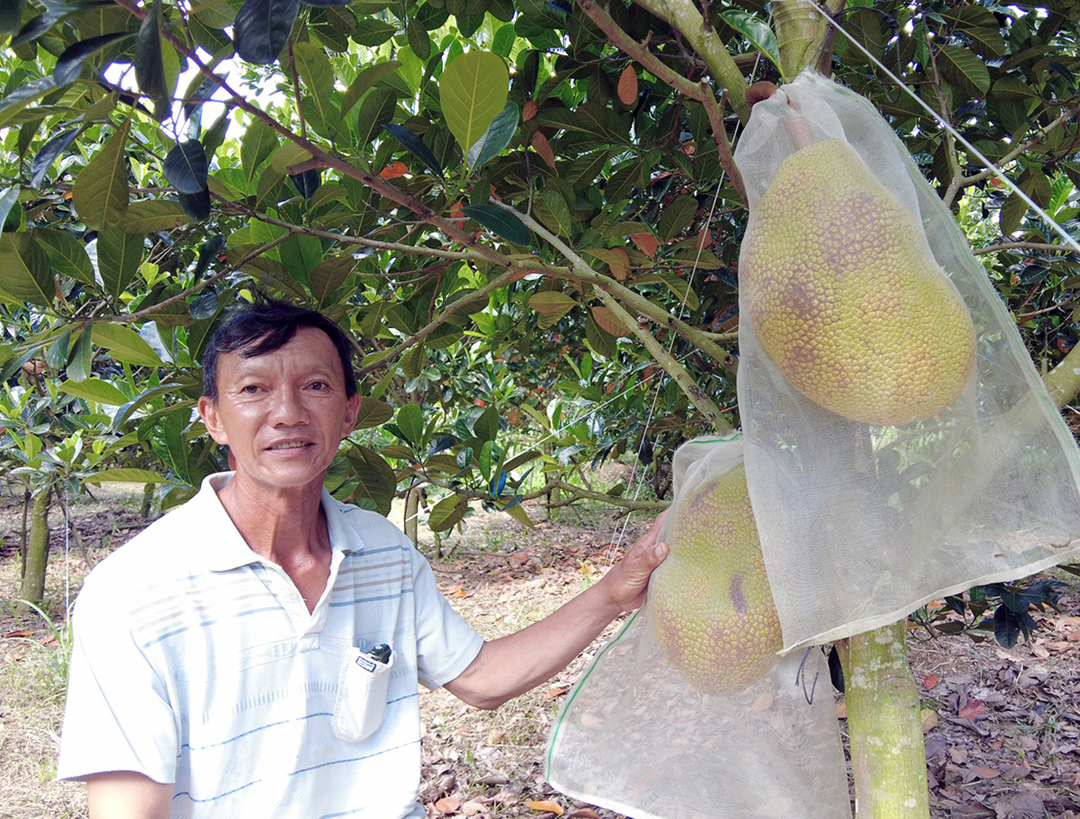 Ở nhà trồng 1 loại cây 