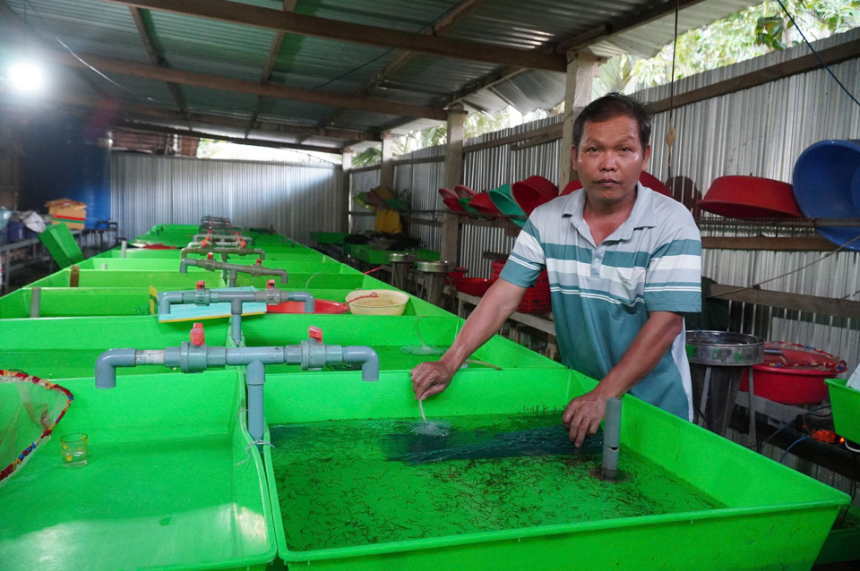 Thầy giáo miền Tây nuôi loài vật &quot;đẻ quanh năm&quot;, thu lãi 2 tỷ đồng/năm rất nhẹ nhàng- Ảnh 1.