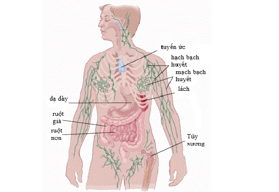 Người phụ nữ ở Yên Bái bất ngờ phát hiện dấu hiệu ung thư trong lần đi mát-xa, ai có dấu hiệu này cần cảnh giác! - Ảnh 2.