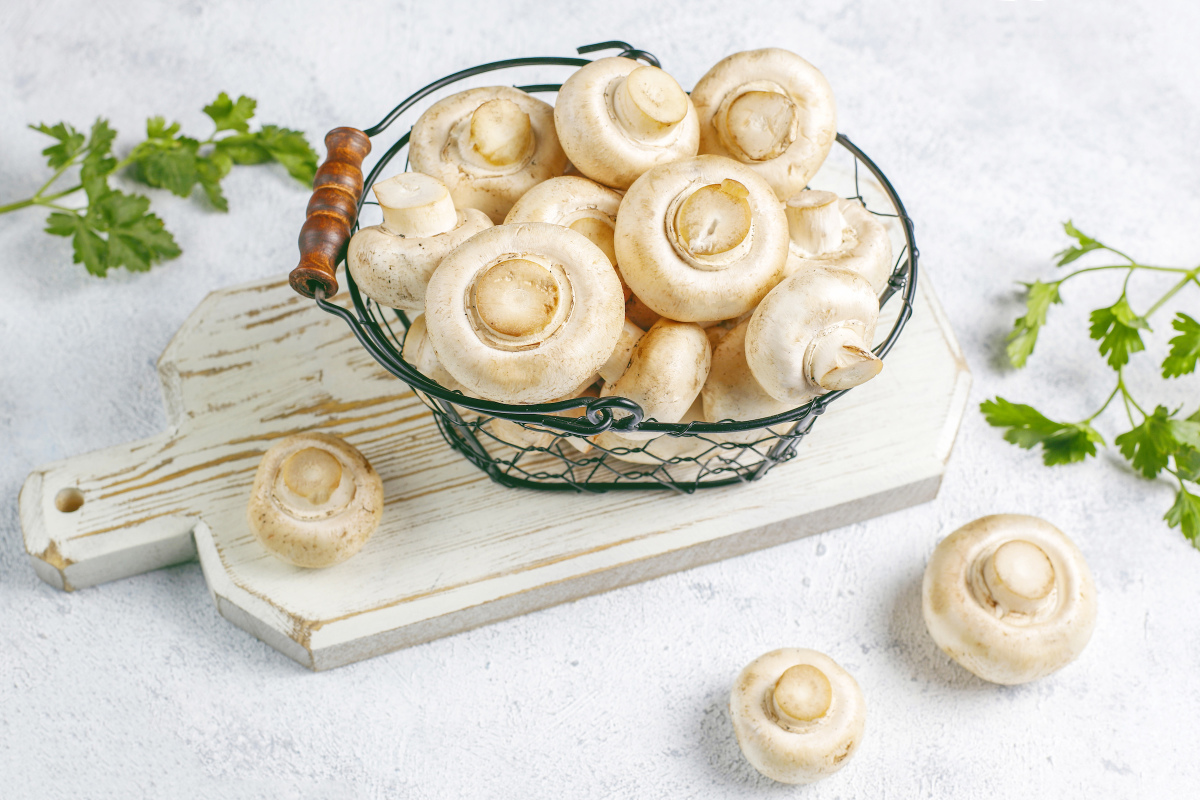 fresh-organic-white-mushrooms-champignon-1696893708-1731894934320-17318949344711219523120.jpg