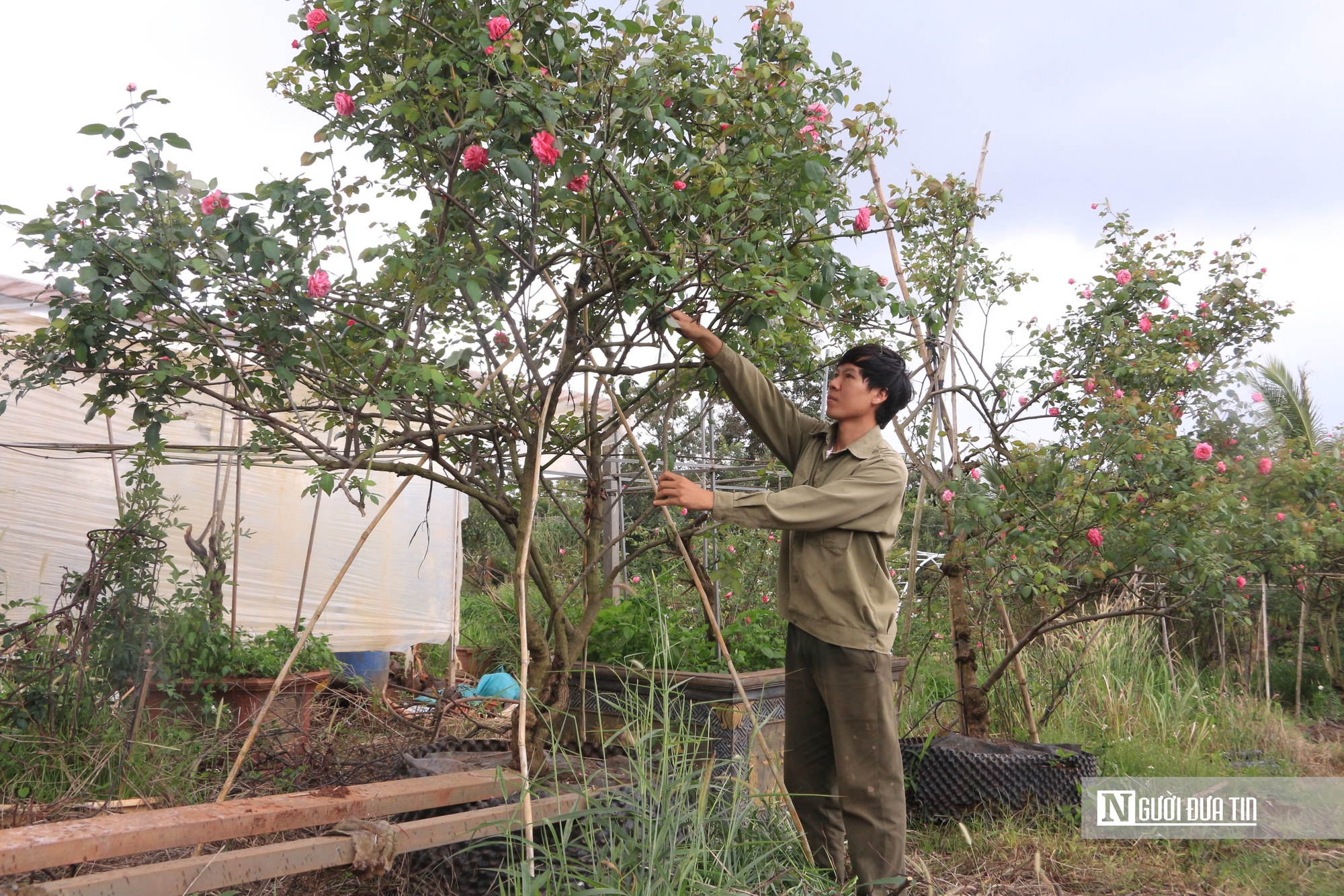 Khởi nghiệp từ những món quà tặng mẹ, chàng trai 9X mang về doanh thu “khủng”- Ảnh 8.