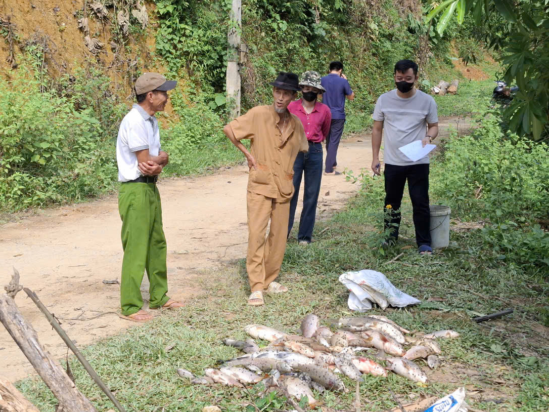 Mua thuốc trừ sâu trên mạng diệt cả ao cá nhà hàng xóm- Ảnh 1.