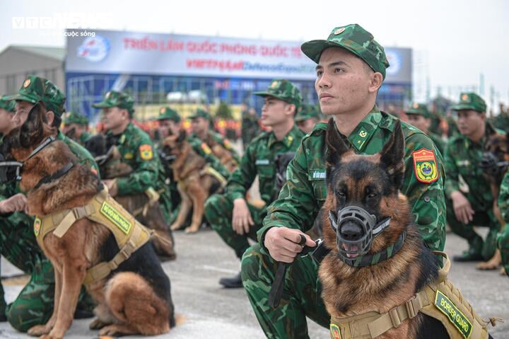 Điều đặc biệt đội quân khuyển tham gia trình diễn tại Triển lãm Quốc phòng quốc tế Việt Nam - Ảnh 2.