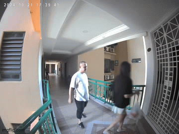 avatar1730879586642-1730879590997569838220.gif
