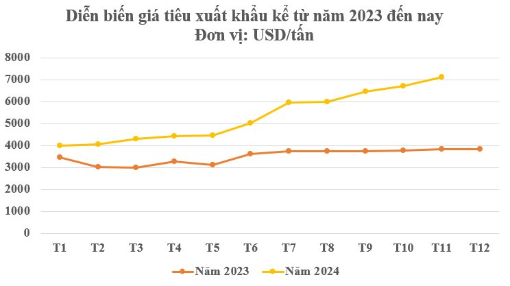 Một loại nông sản thế giới đang lên cơn khát nhưng Việt Nam sở hữu hơn 100.000 ha: Mỹ, Đức liên tục chốt đơn, nước ta là ông trùm xuất khẩu toàn cầu - Ảnh 2.