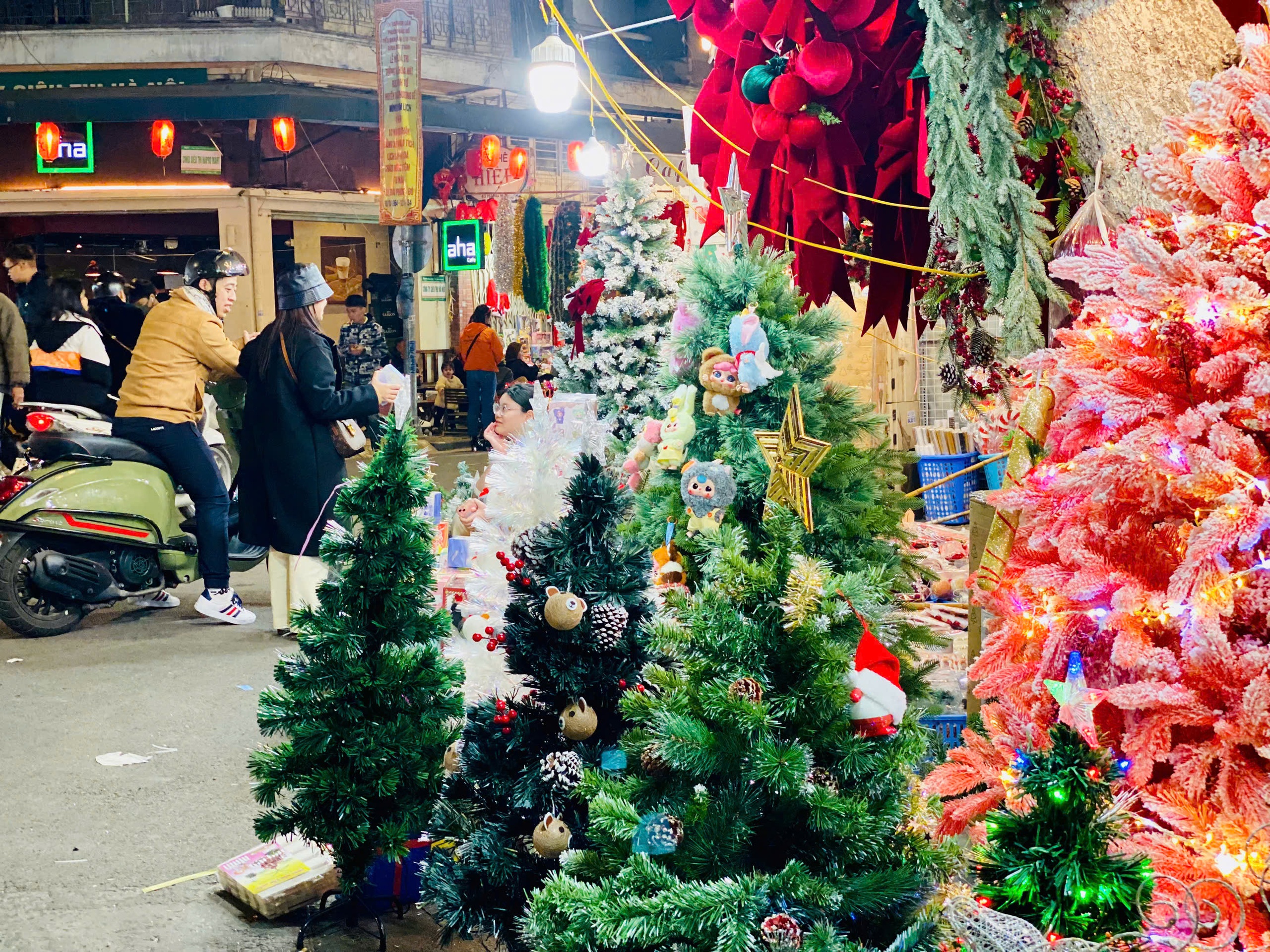 Thị trường Noel 2024: Cây thông Noel ‘túi mù’ giá tiền triệu hút giới trẻ có gì đặc biệt?- Ảnh 7.