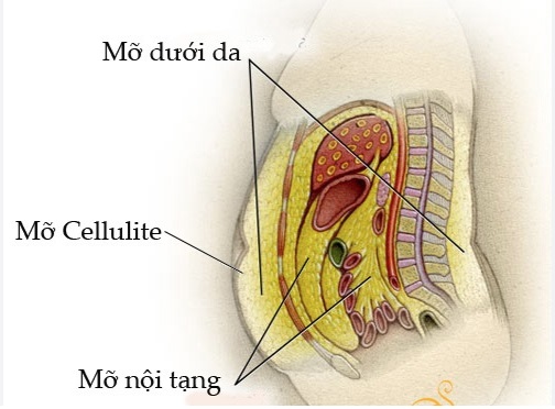 mo-noi-tang5-17343420126481999349694.jpg