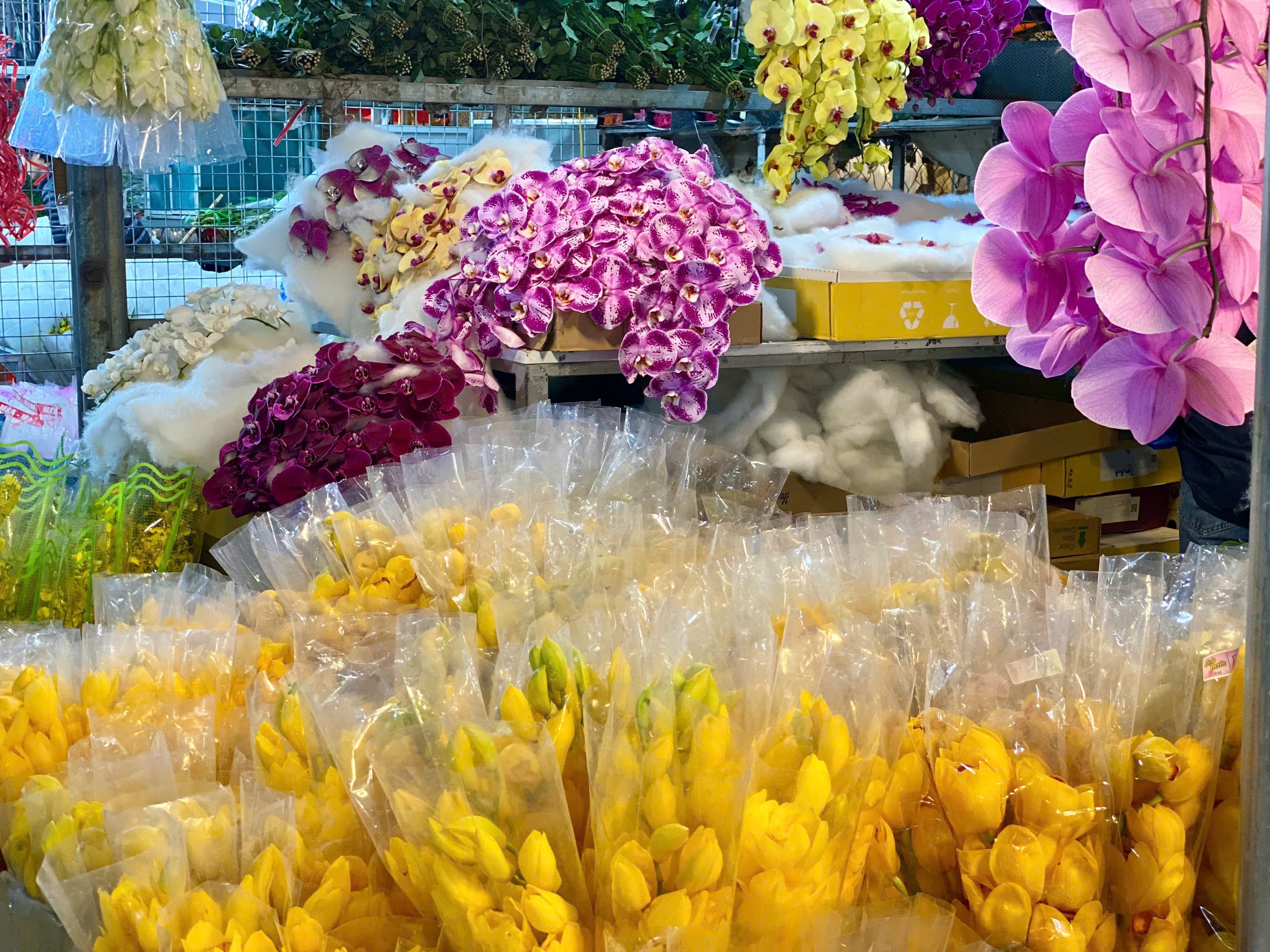 Thị trường Tết 2025: Nhiều loại hoa ‘độc lạ’ được khách hàng thi nhau săn đón tại chợ hoa lớn nhất Thủ đô - Ảnh 9.