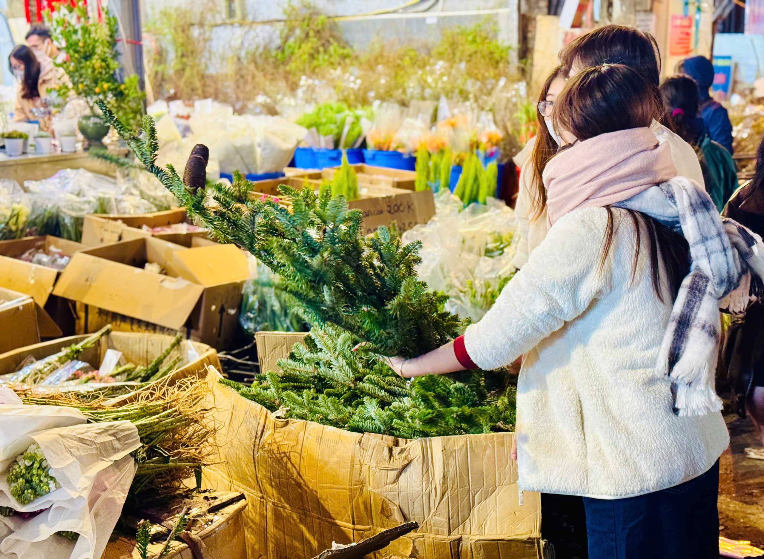 Thị trường Tết 2025: Nhiều loại hoa ‘độc lạ’ được khách hàng thi nhau săn đón tại chợ hoa lớn nhất Thủ đô - Ảnh 13.