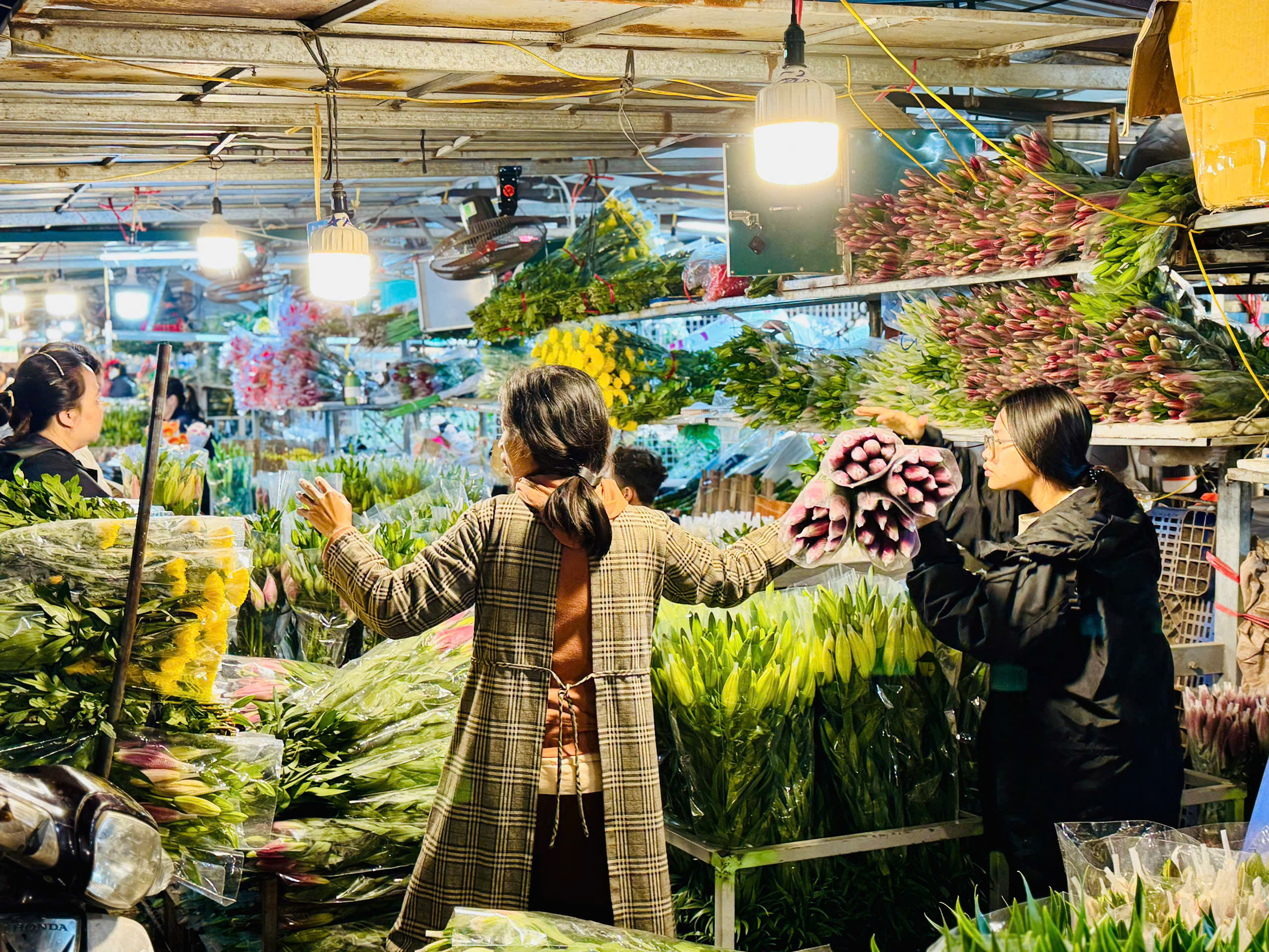 Thị trường Tết 2025: Nhiều loại hoa ‘độc lạ’ được khách hàng thi nhau săn đón tại chợ hoa lớn nhất Thủ đô - Ảnh 10.