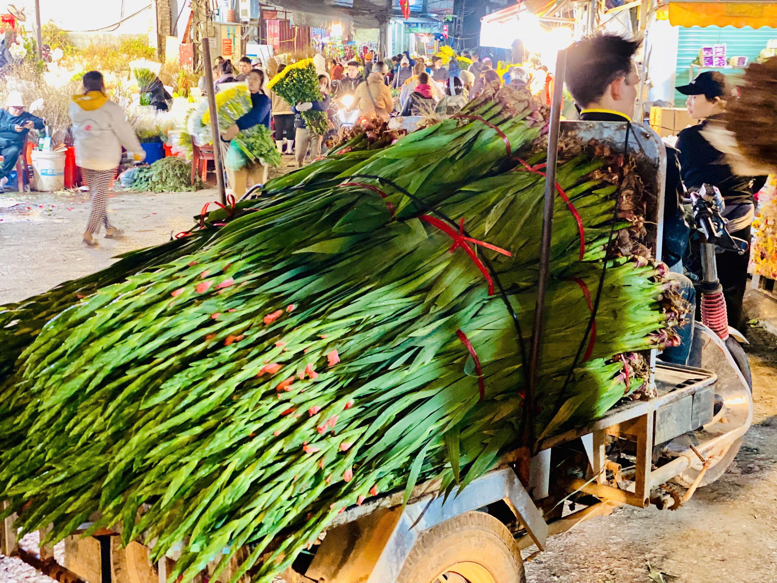 Thị trường Tết 2025: Nhiều loại hoa ‘độc lạ’ được khách hàng thi nhau săn đón tại chợ hoa lớn nhất Thủ đô - Ảnh 6.