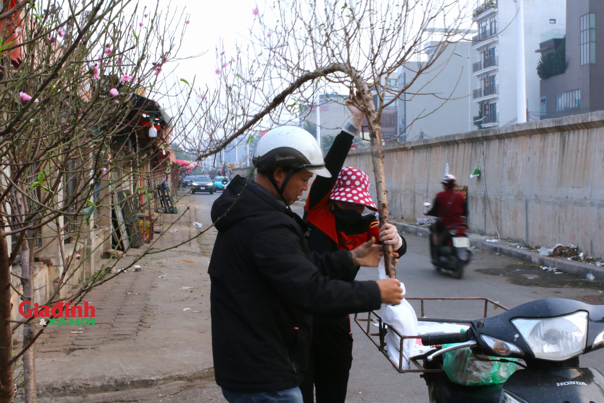 Đào Nhật Tân khoe sắc, xuống phố phục vụ người dân chơi Tết sớm - Ảnh 7.