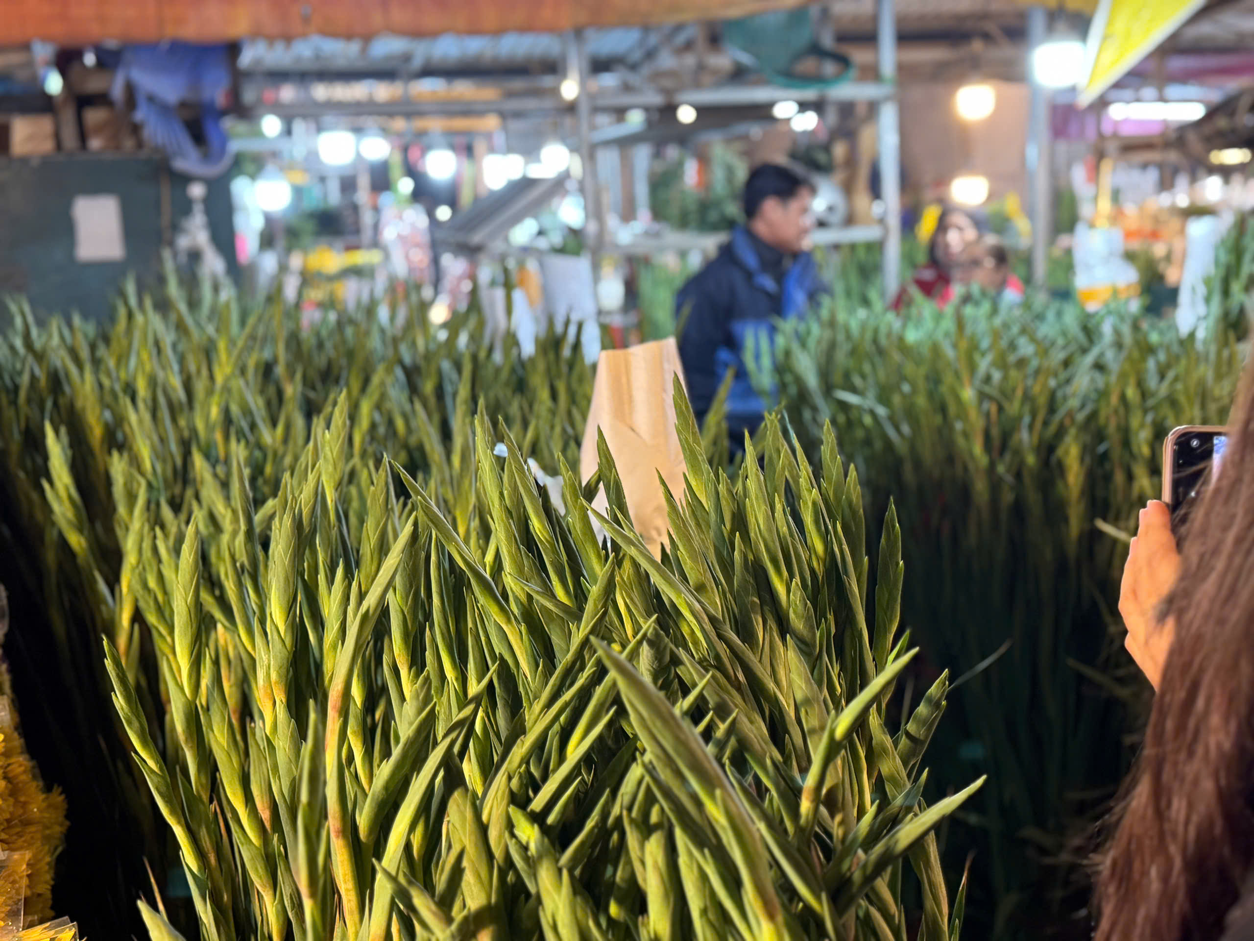 Thị trường Tết 2025: Tiểu thương chợ hoa lớn nhất Thủ đô tất bật ngày cận Tết - Ảnh 16.