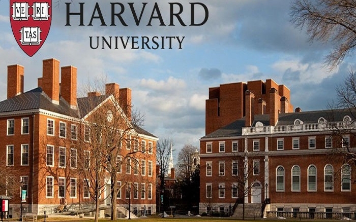 Giúp con từ đứa trẻ bại não trở thành thạc sĩ Đại học Harvard, mẹ đơn thân chia sẻ cách dạy con độc đáo