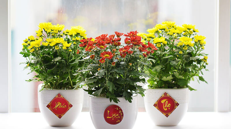 Mẹo trang trí nhà cửa đón Tết 2025 đơn giản mà cực đẹp, thu hút tài lộc- Ảnh 5.