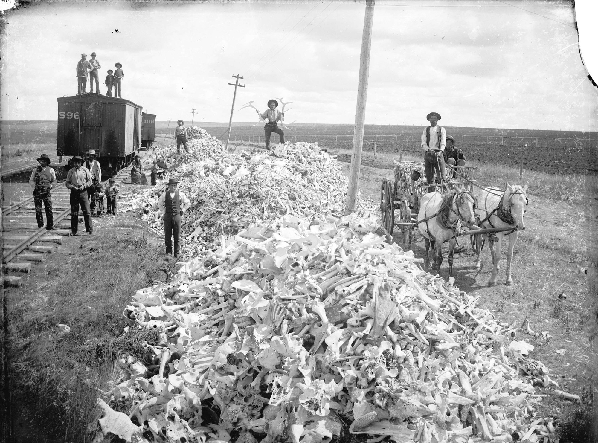 buffalo-bones-at-train-station-circa-maybe-1870s-gull-lake-nwtcanada-1733558289672562302932-1733703880547-17337038811041929171719.jpg