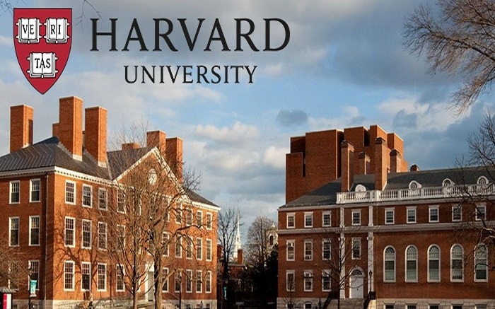 harvard-6-17337226721832002962911-0-0-437-700-crop-1733722678866963609405.jpg