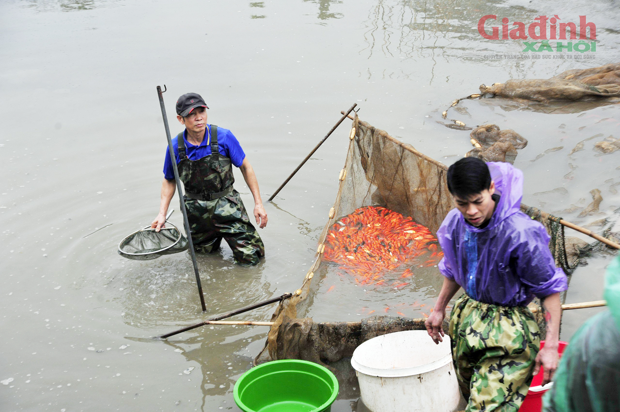 Làng cá chép hối hả trước ngày Táo Quân  - Ảnh 3.