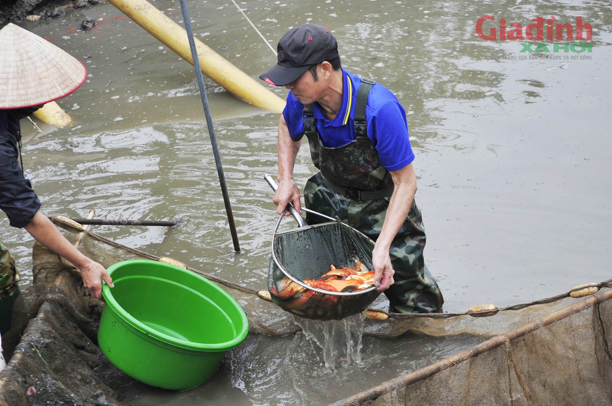 Làng cá chép hối hả trước ngày Táo Quân  - Ảnh 4.