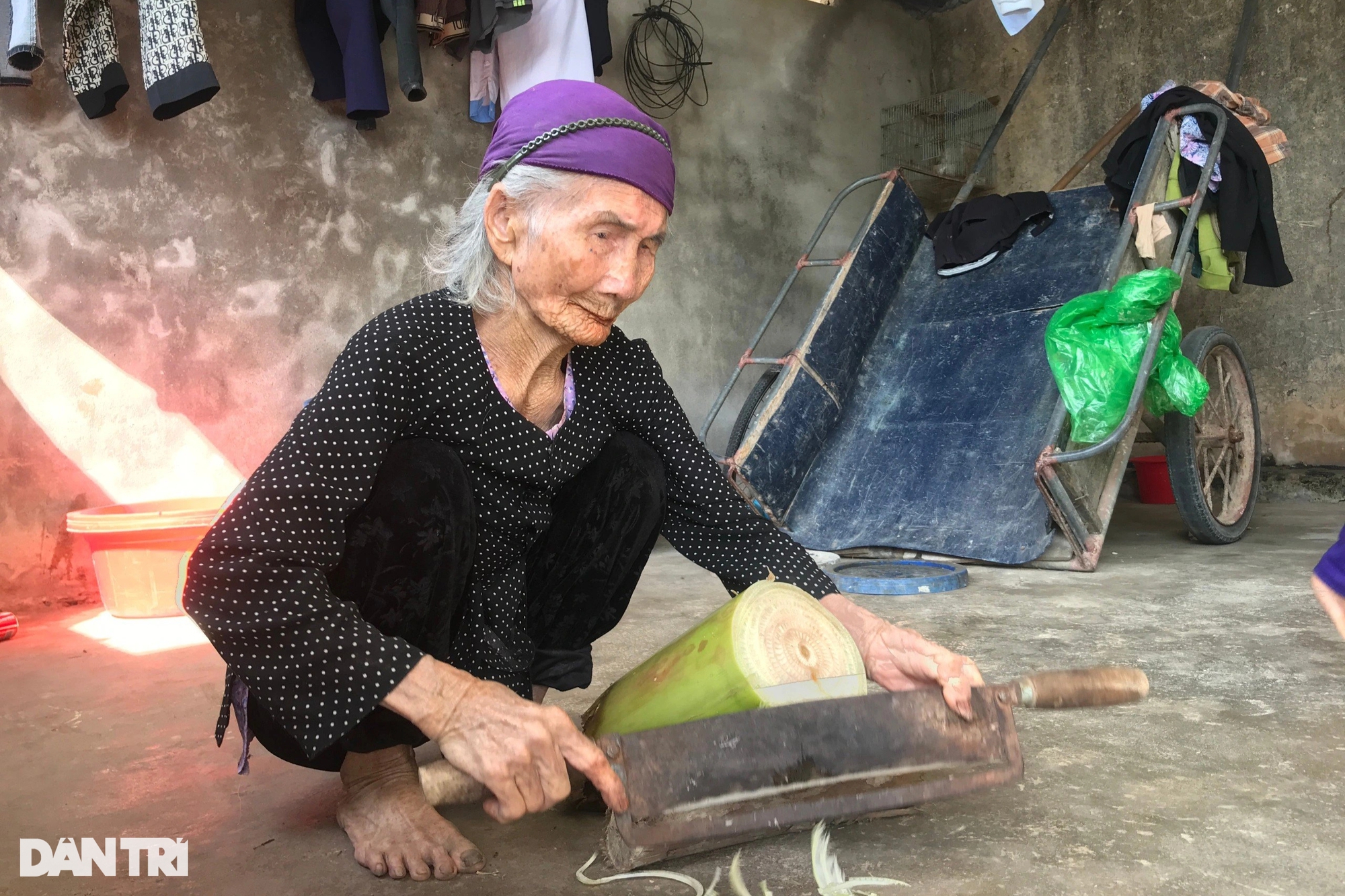 Ngôi làng trường thọ ở Nghệ An: Cụ bà 106 tuổi vẫn thái rau cho gà, vịt - Ảnh 3.