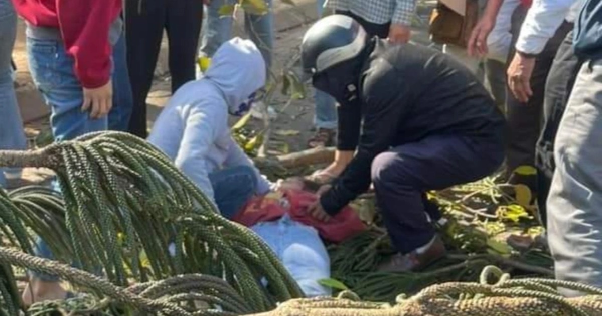 Vụ cô gái bán hoa dịp valentine bị cây đổ đè trúng: Nạn nhân đã tử vong