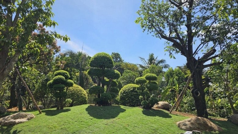 Việt Trinh để lộ cơ ngơi đẹp như resort ở Bình Dương, khu vườn tựa chốn bồng lai tiên cảnh - Ảnh 9.