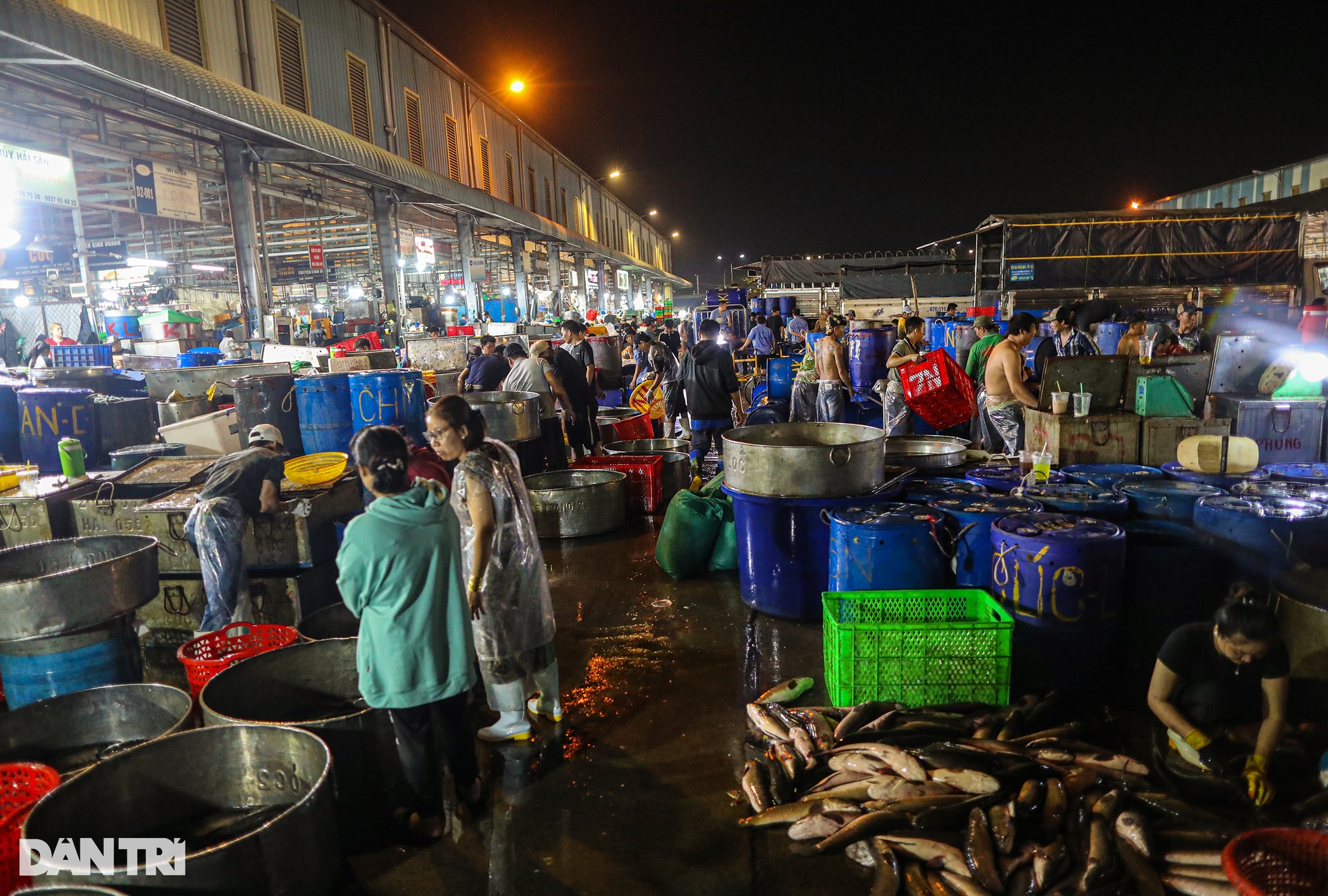 Chợ cá lóc lớn nhất TPHCM tất bật trước ngày vía Thần Tài - Ảnh 2.