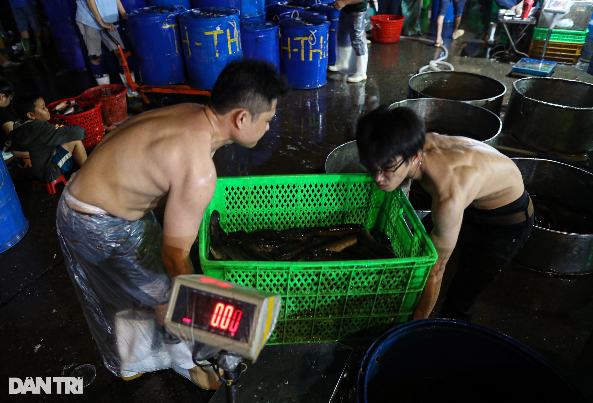 Chợ cá lóc lớn nhất TPHCM tất bật trước ngày vía Thần Tài - Ảnh 9.