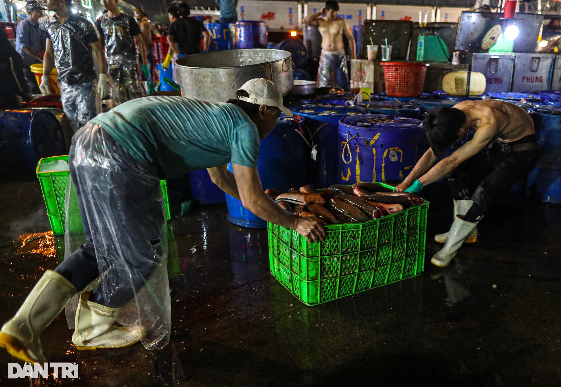Chợ cá lóc lớn nhất TPHCM tất bật trước ngày vía Thần Tài - Ảnh 11.