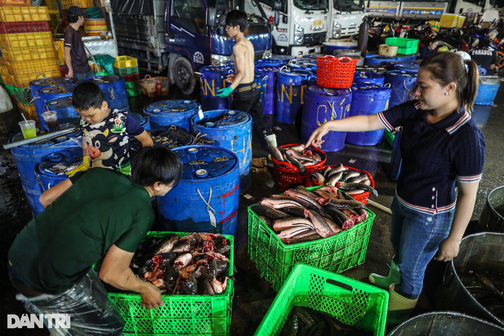Chợ cá lóc lớn nhất TPHCM tất bật trước ngày vía Thần Tài - Ảnh 12.