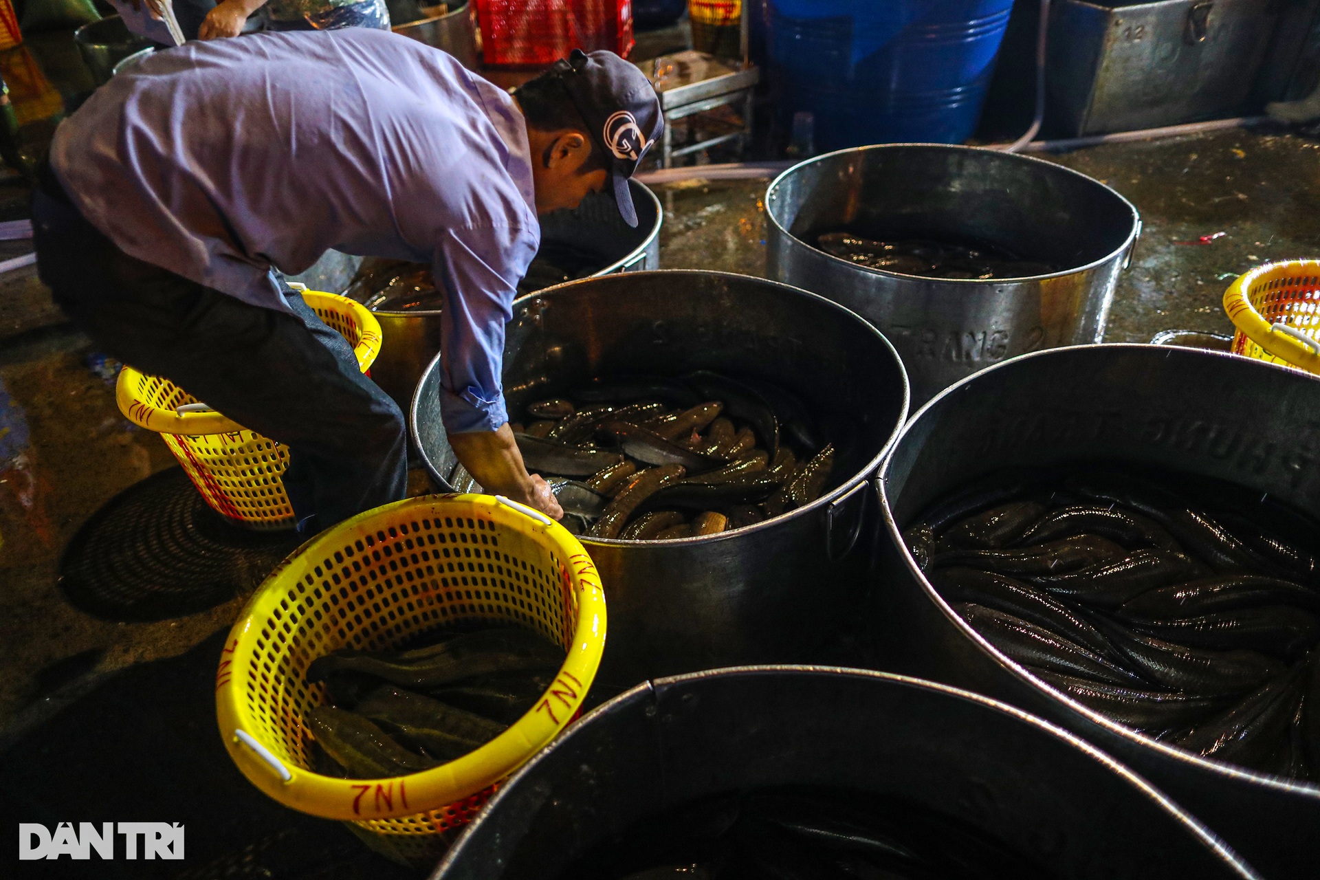 Chợ cá lóc lớn nhất TPHCM tất bật trước ngày vía Thần Tài - Ảnh 6.