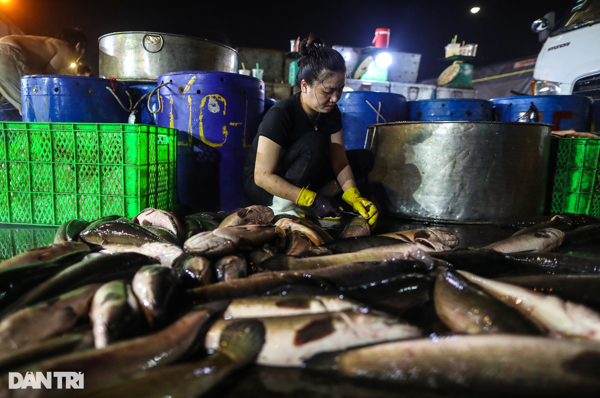 Chợ cá lóc lớn nhất TPHCM tất bật trước ngày vía Thần Tài - Ảnh 13.