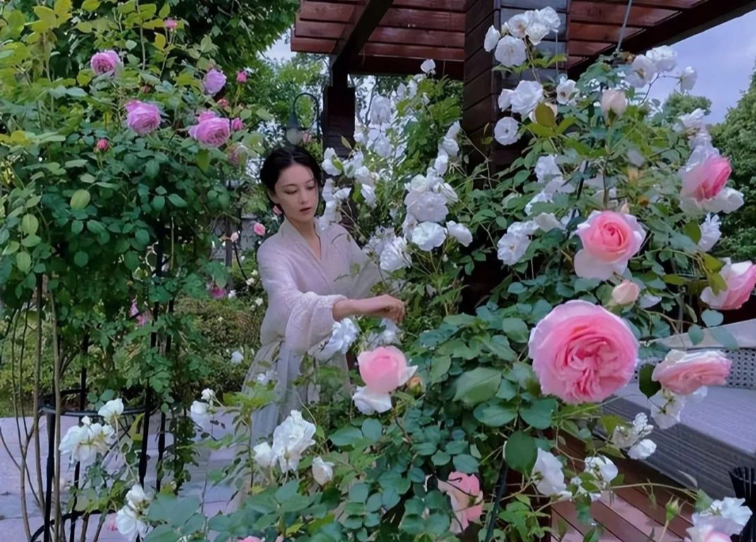 Chị đẹp xứ Trung &quot;nổi rần rần&quot; trên mạng xã hội nhờ tự tay vun trồng một vườn rau đẹp như truyện cổ tích- Ảnh 3.
