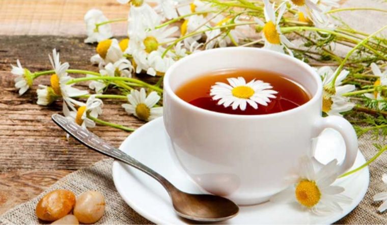 8 loại trà giúp phòng ngừa cảm lạnh- Ảnh 1.