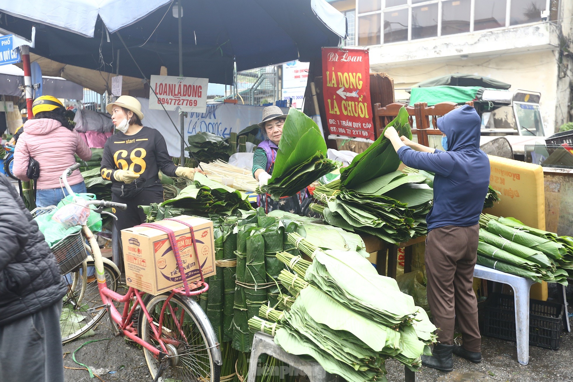 Chợ lá dong lâu đời nhất Hà Nội: Ngày bán hàng vạn lá, thu về hàng chục triệu - Ảnh 2.