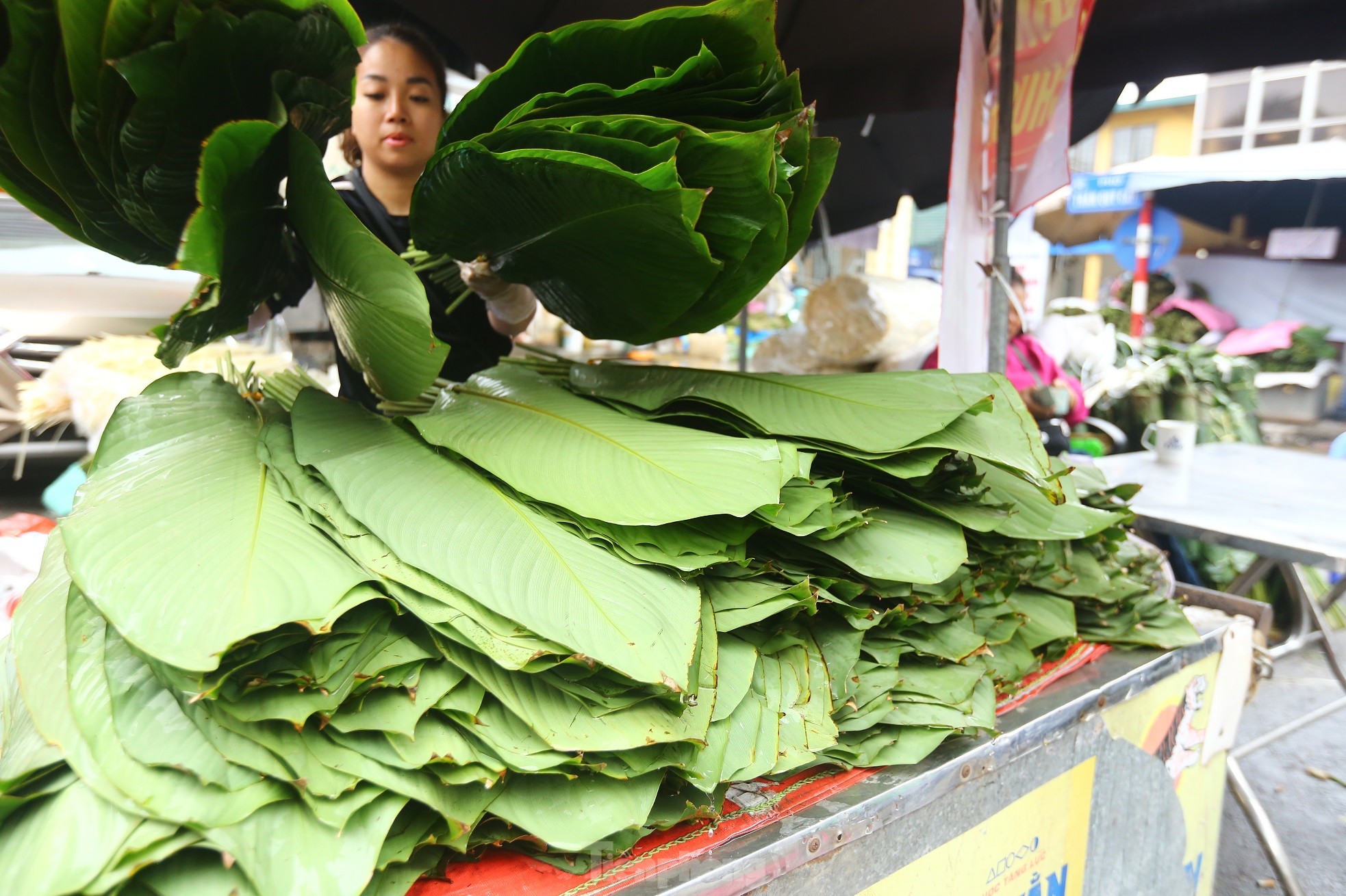 Chợ lá dong lâu đời nhất Hà Nội: Ngày bán hàng vạn lá, thu về hàng chục triệu - Ảnh 5. Chợ lá dong lâu đời nhất Hà Nội: Ngày bán hàng vạn lá, thu về hàng chục triệu - Ảnh 5.