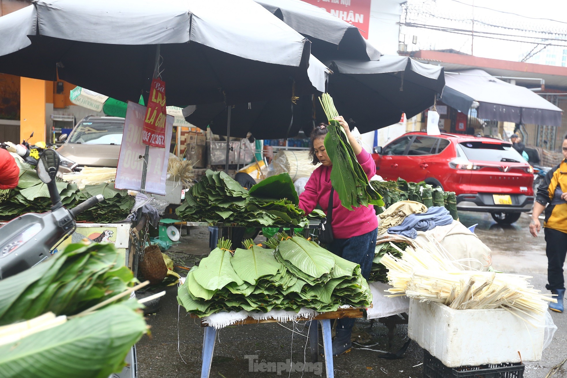 Chợ lá dong lâu đời nhất Hà Nội: Ngày bán hàng vạn lá, thu về hàng chục triệu - Ảnh 6.