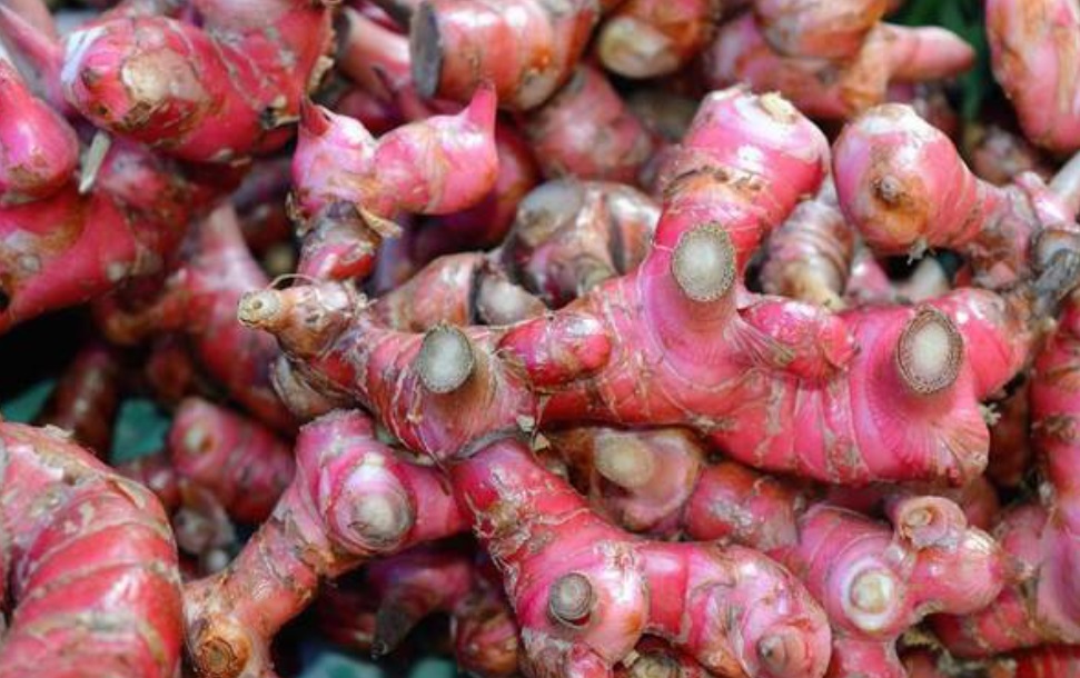 Thêm một loại củ nấu ăn ngon, giúp giảm đau xương khớp và viêm loét dạ dày hiệu quả, hiện đang rẻ và bán đầy ở chợ Việt - Ảnh 1.