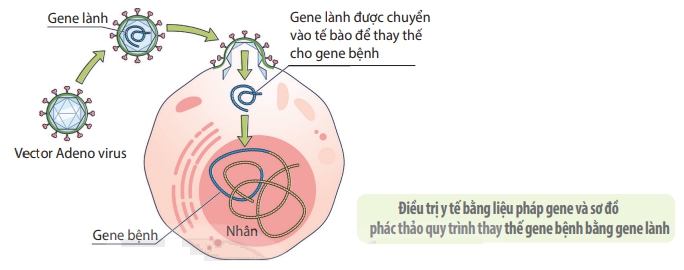 Virus không phải lúc nào cũng là kẻ phản diện, đây là 5 cách loài người &quot;liên minh&quot; với virus để chống lại bệnh tật- Ảnh 3.