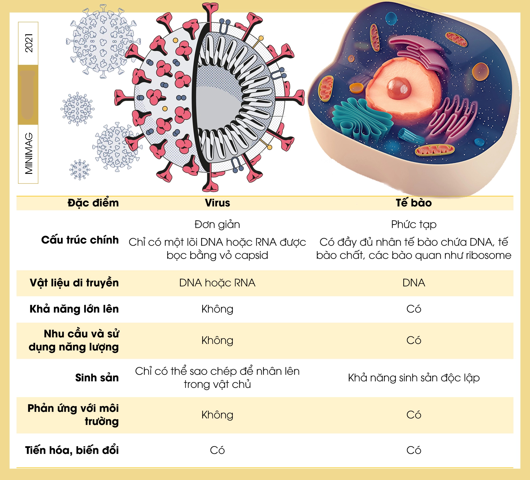 Virus không phải lúc nào cũng là kẻ phản diện, đây là 5 cách loài người &quot;liên minh&quot; với virus để chống lại bệnh tật- Ảnh 2.